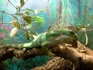 hernzoa's profile picture. 