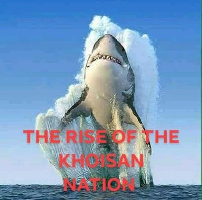 Meegas42's profile picture. 