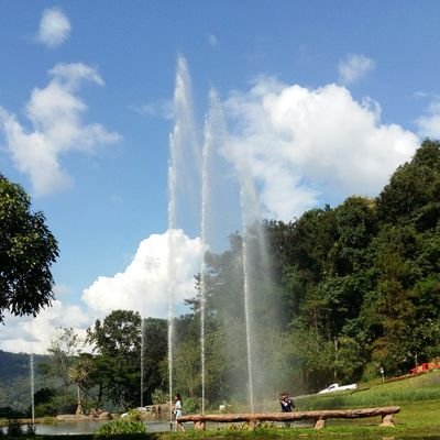 Sunshin27986619's profile picture. 