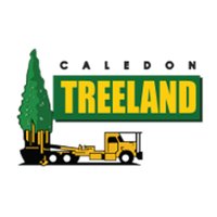 Caledon Treeland(@CaledonTreeland) 's Twitter Profile Photo