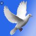 VICTORIA31 (@victori77866780) Twitter profile photo VICTORIA31 (@victori77866780) Twitter profile photo