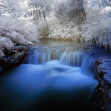 DolanNeedbuffs's profile picture. #internet