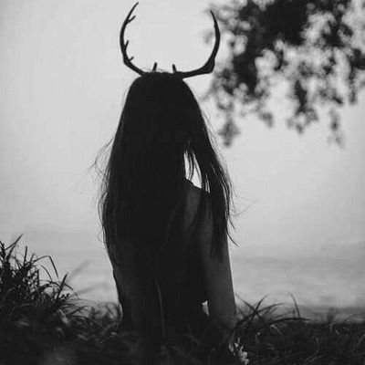 _Wildsoul's profile picture. ✴ History ✴ Literature ✴ Nature ✴Music ✴ Photography ✴ Art ✴