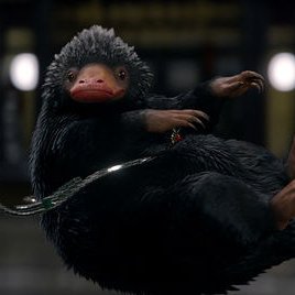 CrazyNiffler's profile picture. Passionné de de geekeries, de cinéma, de cuisine