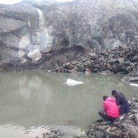 High Altitude Microbiology Lab, IHBT (@hamlab_ihbt) 's Twitter Profile