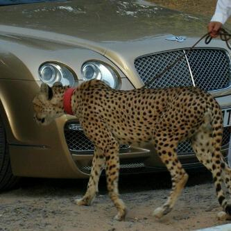 Embassies's profile picture. 