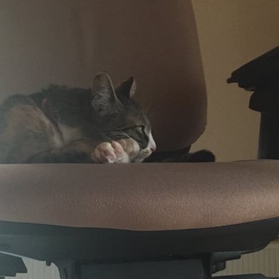 そーた Rtした人が東方アイコンだったらアイコンのキャラの画像を貼る 10人目 アリス フランスオランダチベット京都ロンドンロシアオルレアン Http T Co 4jvoofeqnm そーた Rtした人が東方アイコンだったらアイコンのキャラの画像を貼る 10人目 アリス フランスオランダチベット京都ロンドンロシアオルレアン Http T Co 4jvoofeqnm