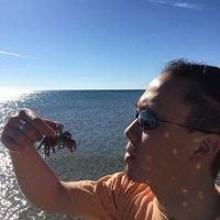 L_Teulier (@loteulier) 's Twitter Profile Photo L_Teulier (@loteulier) 's Twitter Profile Photo