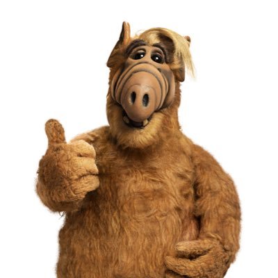 DZureich's profile picture. ”Don’t be afraid to see what you see.”  Ronald Reagan