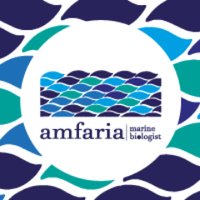 lab_amfaria(@AmfariaLab) 's Twitter Profile Photo