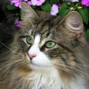 Esmeralda Gray - @Esme_Gray - Twitter