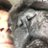 Domeniklopp's profile image