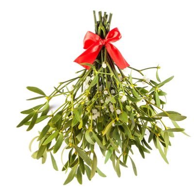 HIATUS UNTIL 2019! Want two Panem citizens to kiss? DM this special Mistletoe to cause a spark! Make sure you send in the UN with your request! Happy kisses!