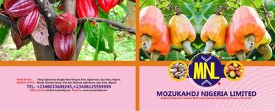 mozukahdj's profile picture. Exporter of Raw cashew Nuts,  Cocoa beans, Sesame seed etc