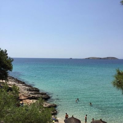 preteca69's profile picture. 