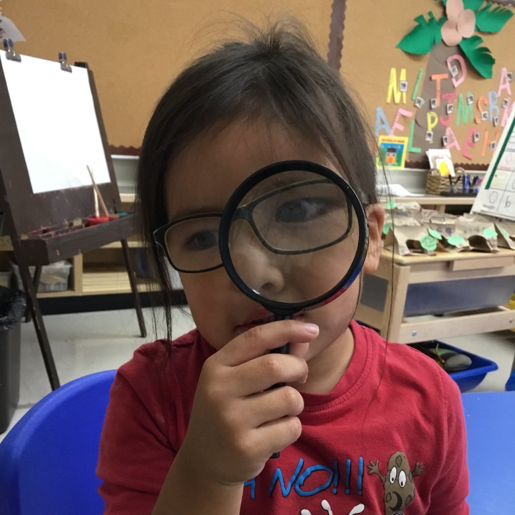 KinderHornets's profile picture. We are a class of curious early learners who love to play, explore, and discover new things. Follow us to see how much we are growing and learning!