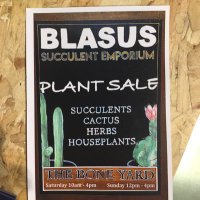 blasus succulent emporium(@BlasusEmporium) 's Twitter Profile Photo