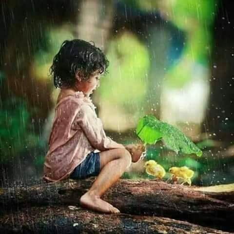 Bobbob14516808's profile picture. 