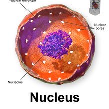 likeabo15338851's profile picture. been here since #BC