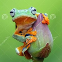 🌷SLPP|UNP🐘 Dumbster 🗯 (@slppdumbster) 's Twitter Profile