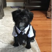 David Della Rossa (@daviddellaross2) 's Twitter Profile