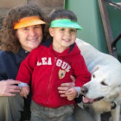 Librarytech11's profile picture. 