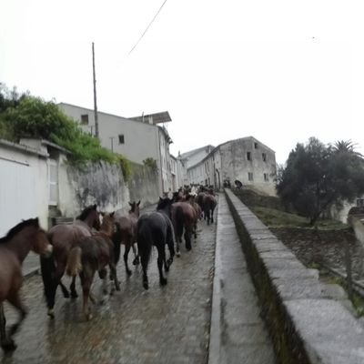 Nacín en Tudela pero son de Mondoñedo. Son xornalista e agora concelleira na miña cidade.