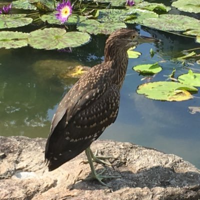 ObsessedForNow's profile picture. 20↑ / 無言フォロー失礼します