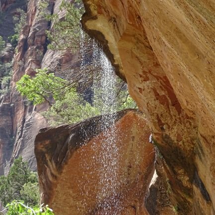 Mom to a veterinarian, 3 cats, a dog, and a turtle, all rescues - the animals not the daughter! Love of all things nature especially our National Parks.