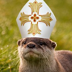 Phredreeke's profile picture. Disgruntled leftist shitlord. Conspiracy enthusiast. Not a dev, just a gamer. Make Sweden Lagom Again! Trans centrist