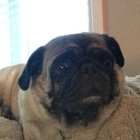 π¨π¦ James Barnes π¨π¦ (@gopherboy316) 's Twitter Profile