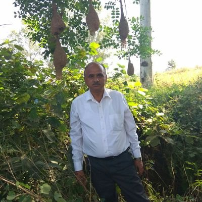 raghubirchaudh5's profile picture. M. Sc. (Physics), PGDCA, MS (CS). Chief General Manager (Rtd), HRTC