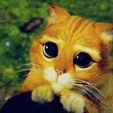 Sergio Arguelles - @SergioA30445762 - Twitter