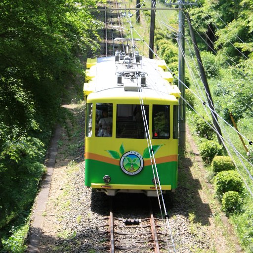 高尾登山電鉄の公式アカウントです。ケーブルカー、リフトの情報や高尾山の自然の様子をお届けします。運行情報は弊社HPで最新情報を更新しますのでご利用ください。またコメントのお返事はいたしかねますのでご了承ください。高尾山のお土産はこちらから→https://t.co/FILTUoFDMf