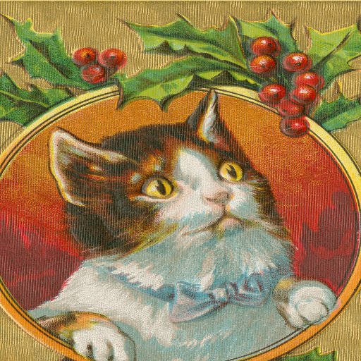 I love Christmas cards and everything Christmas related!
Affiliate links may be included in tweets.