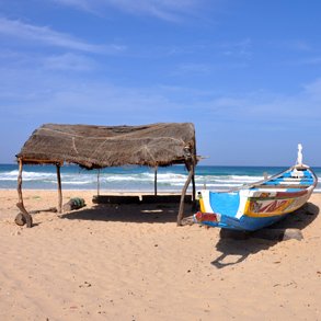 Au #Sénégal, on oublie que si les Sénégalais sont en train de mourir à petit feu, c’est parce qu'on a tourné le dos à la #NATURE et à une #ÉCOLOGIE #SAINE.🌴🌍