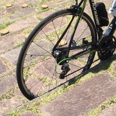 upheaval113's profile picture. もうどうにでもなれー