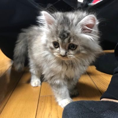 8歳差のお兄ちゃん、妹ちゃんのお母さんやってます。お気楽パートの日々。