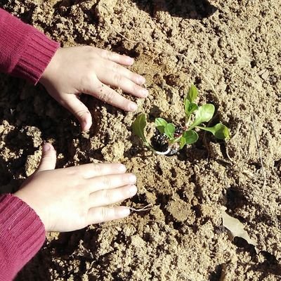 Buscadora de palabras que definan mi silencio. Escribir es mi necesidad.