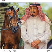 اخبار الفروسية (@f111f111f) 's Twitter Profile