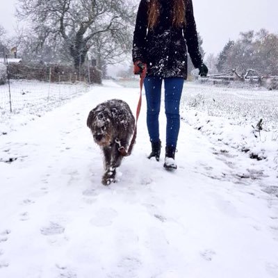 *Wurde durch sozialen Menschen ersetzt* |30. W A S.| she/her | Liebe Bücher. Konzerte. Schnee. London. DW. Pizza. Und London. Und Corpse. Und DNF. Und Lon-