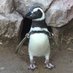 ゼラチンペンギン (@Shakespearefun2) Twitter profile photo