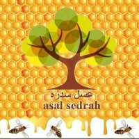 عسل سدره (@asal_sedrah) Twitter profile photo