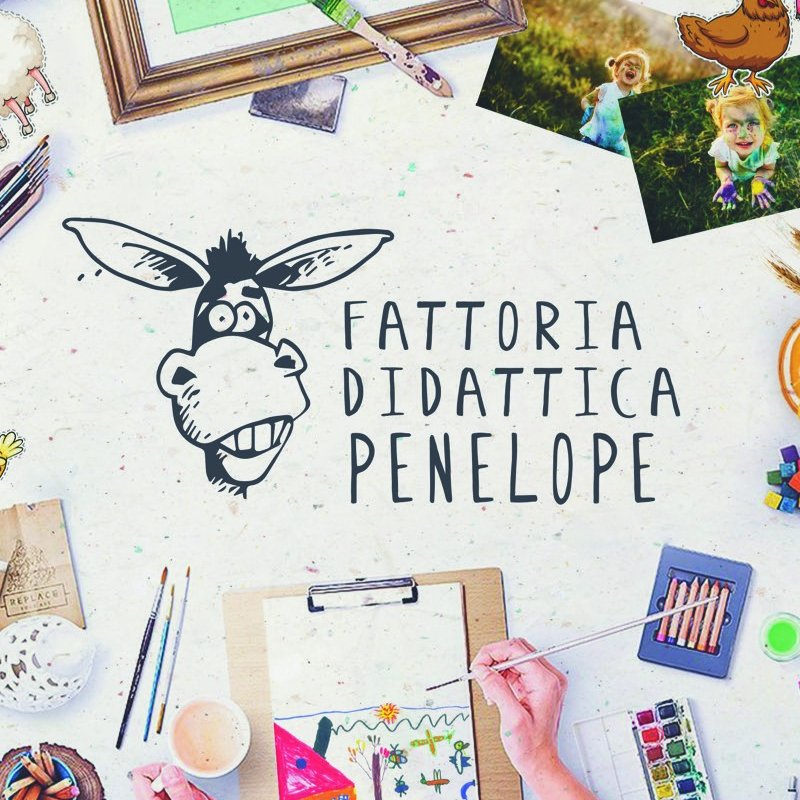 Dal 2014 la Fattoria di Penelope, che fa parte della rete delle fattorie didattiche della Toscana realizza e progetta percorsi didattiche per scuole, famiglie.
