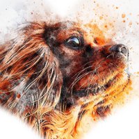 Miss Ruby Heart (@missrubyheart1) 's Twitter Profile