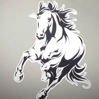 SCHS Counseling (@schscounseling1) 's Twitter Profile Photo SCHS Counseling (@schscounseling1) 's Twitter Profile Photo