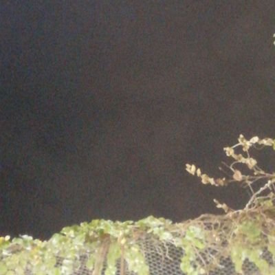 joobxIII's profile picture. 