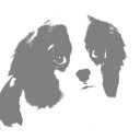 Arnold & Henry - @ArnoldandHenry - Twitter