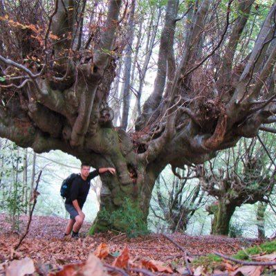 Tree Management Officer with an unhealthy passion/obsession for mycological distractions whilst lost in the woods.