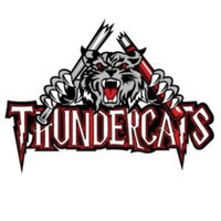 NIAGARA GIRLS MINOR SOFTBALL (@nfthundercats) 's Twitter Profile